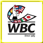 World_boxing_championship